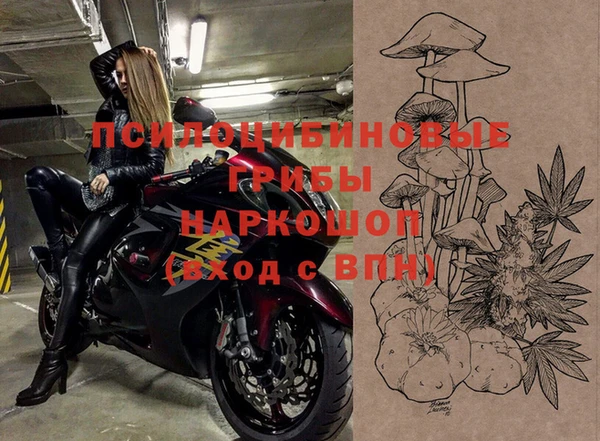 герыч Ельня