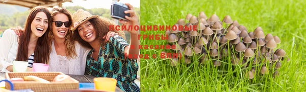 2c-b Елабуга